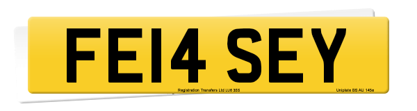 Registration number FE14 SEY